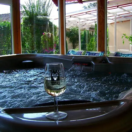 Agria Wellness 3* Eger